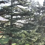 Chateau De La Folie Bed & Breakfast 4*
