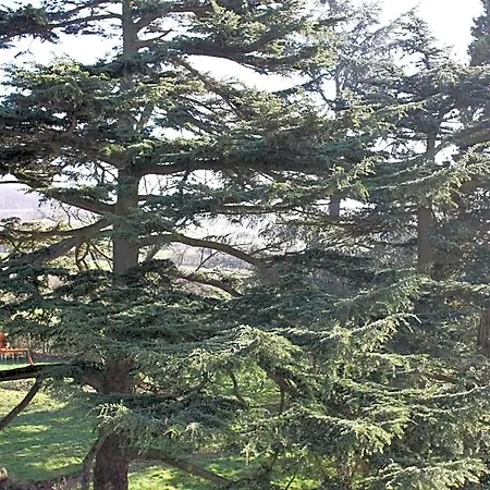 Chateau De La Folie B&B 4*