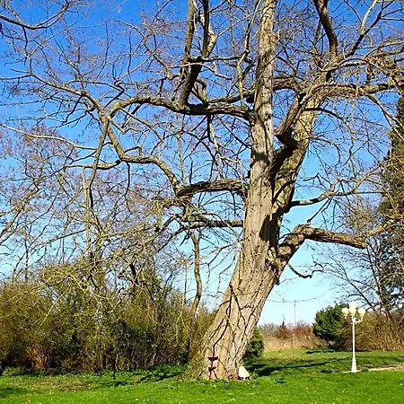 Chateau De La Folie 4*