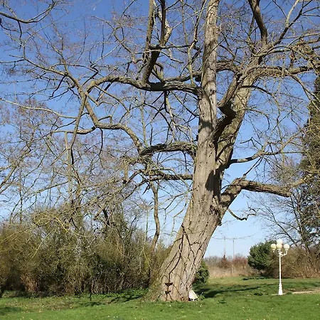 Bed & Breakfast Chateau De La Folie