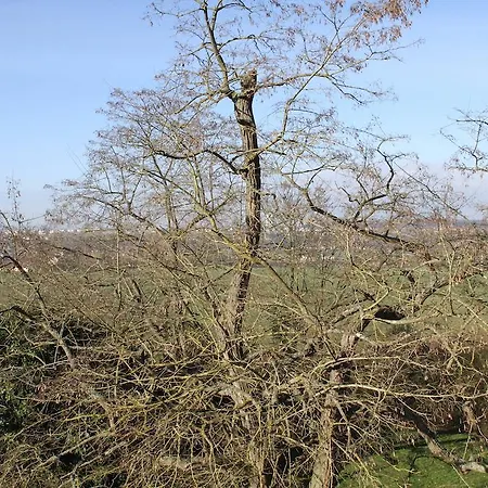 Chateau De La Folie Couette-café 4*