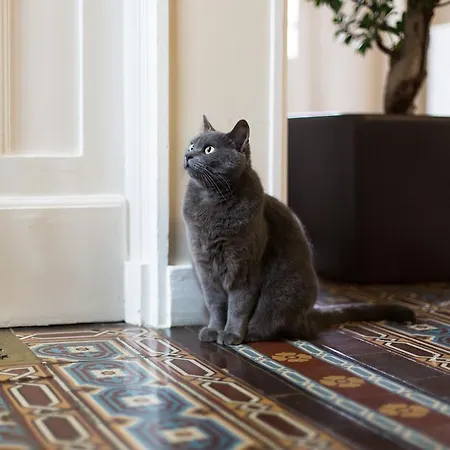 Bed & Breakfast Chateau De La Folie