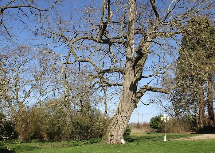 Bed & Breakfast Chateau De La Folie