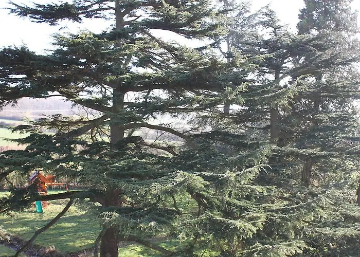 Chateau De La Folie Bed & Breakfast 4*