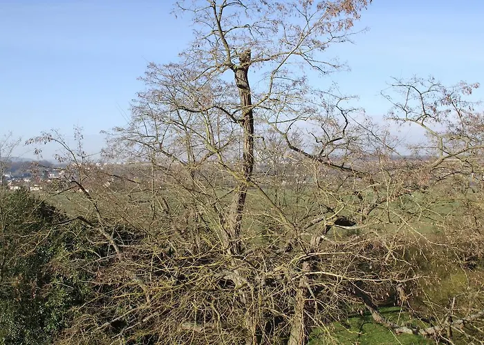 Chateau De La Folie Bed & Breakfast 4*