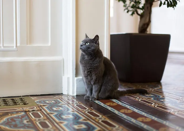 Bed & Breakfast Chateau De La Folie